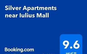 Silver Apartments Near Airport And Iulius Mall